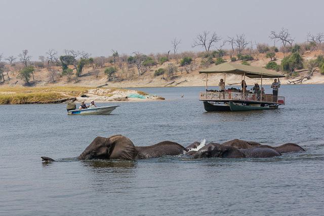 043 Botswana, Chobe NP.jpg